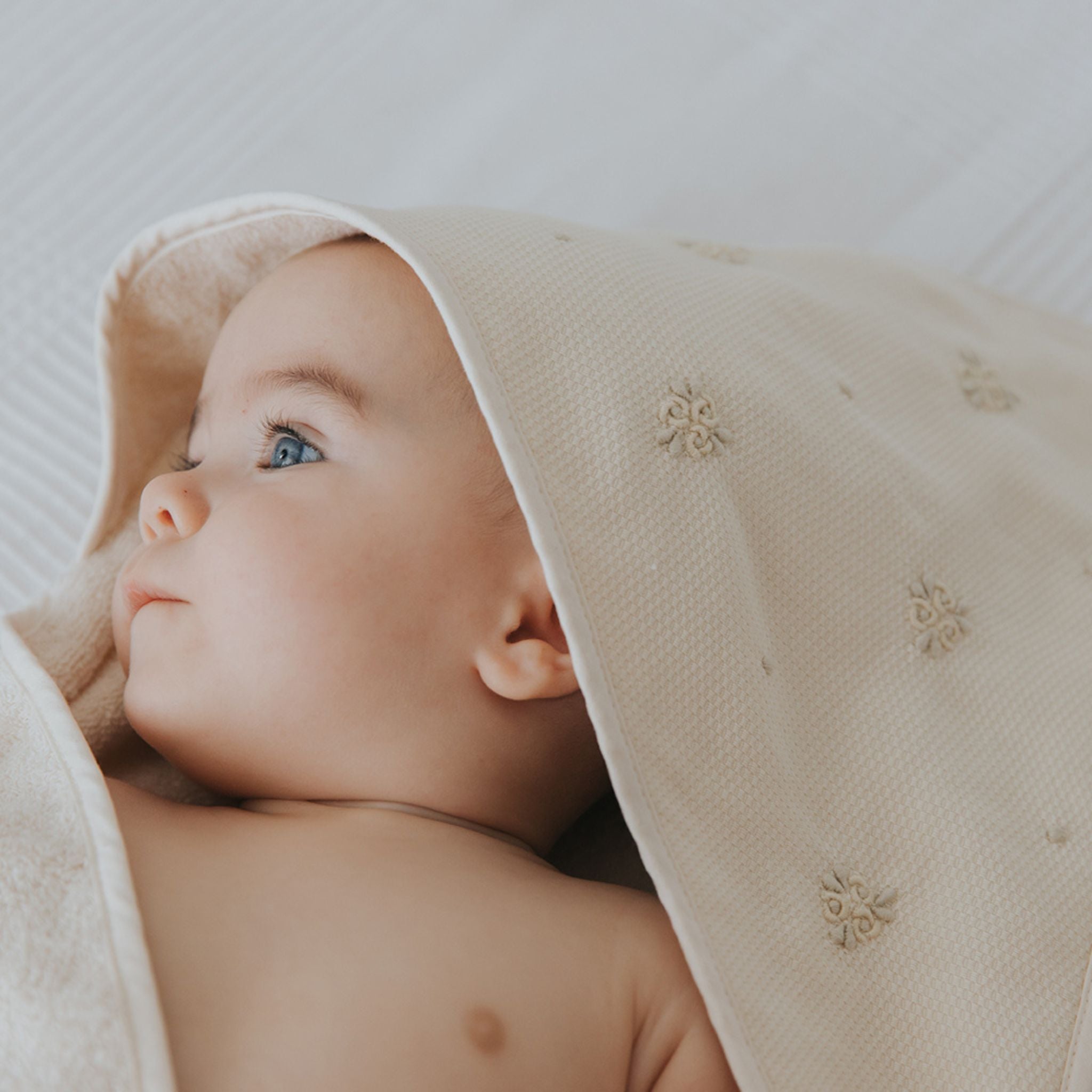 Torres Novas x Bordal - Torres Novas