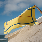 Alvor amarilla
