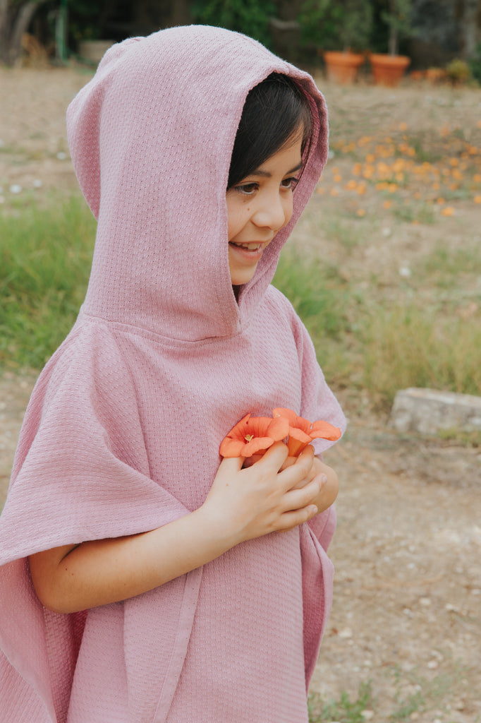 Old pink Santa Maria - Torres Novas