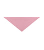 Old pink Santa Maria - Torres Novas