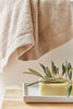 Beige Luxus - Torres Novas