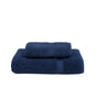 Cobalt blue Almonda - Torres Novas